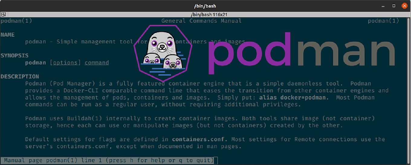 Extracting a container file system with Podman